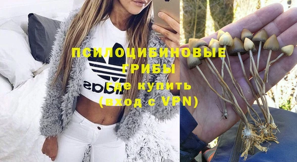 бошки Заволжье