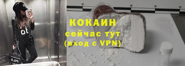 ГАЛЛЮЦИНОГЕННЫЕ ГРИБЫ Заводоуковск