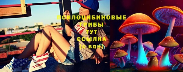 ГАЛЛЮЦИНОГЕННЫЕ ГРИБЫ Заводоуковск